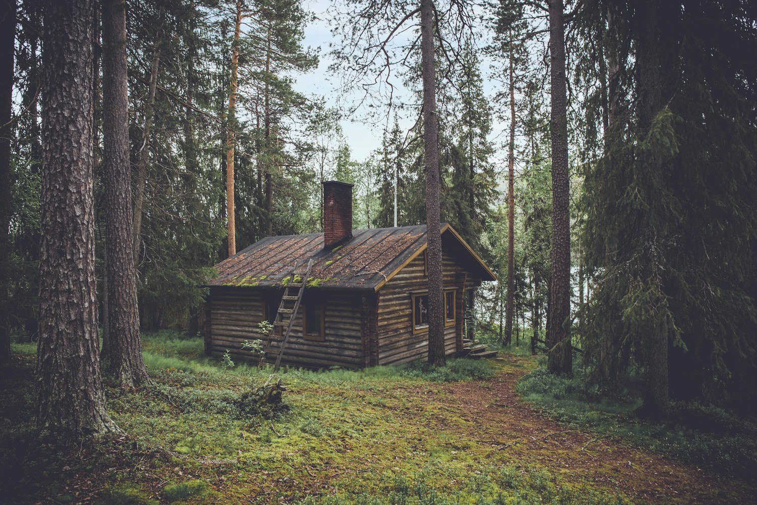 A small cabin set among trees