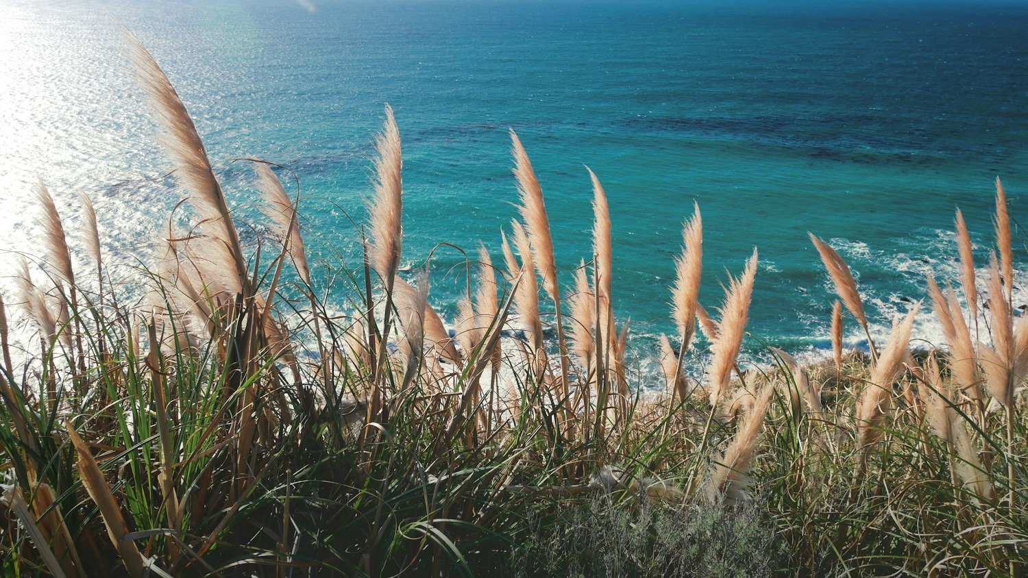 The coast is worth visiting without a destination — illustrative photography