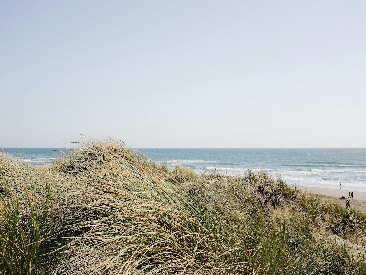 The photograph, and everything around it — illustrative photography