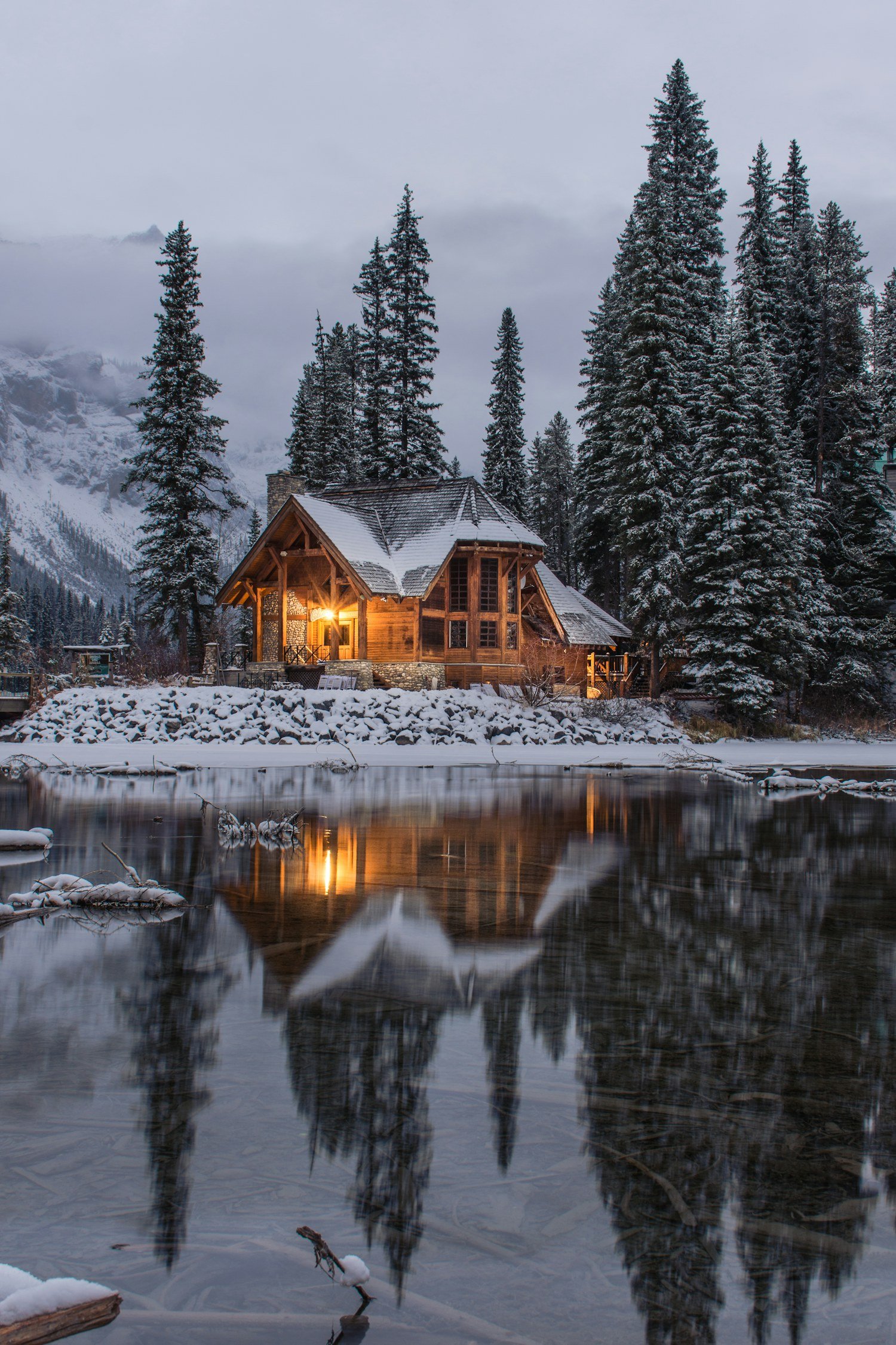 Bring a little of the outside into the day — illustrative photography