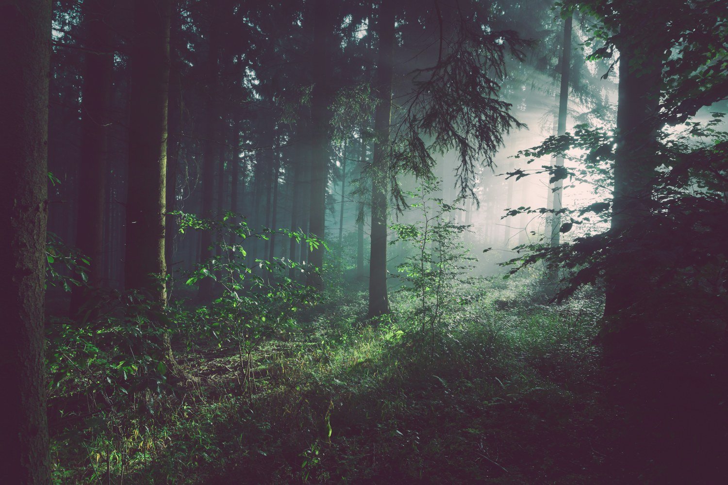 The same walk, seen in a different season — illustrative photography